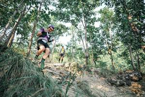 BIB: 
                            <button type="button" onclick="openModal(25984341)" class="btn btn-primary btn-sm float-right btn-popup" data-toggle="modal" data-target=".modal-high-quality">
                        <i class="fas fa-shopping-cart"></i> Add to Cart
                    </button>
                                            <button type="button" onclick="isThisMe(25984341, true)" class="btn btn-success btn-sm float-right btn-popup btn-isme hidden" data-toggle="tooltip" data-placement="bottom" title="นี่คือรูปของคุณใช่ไหม คลิกที่นี่เพื่อเอาเข้าอัลบั้ม">
                        <i class="fas fa-plus"></i> Add to album
                    </button>
                    <button type="button" onclick="isThisMe(25984341, false)" class="btn btn-warning btn-sm float-right btn-popup btn-isnotme hidden">
                        <i class="fas fa-ban"></i> Remove from album
                    </button>